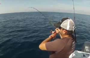 Pesca embarcada tecnicas com Black Minnow 200